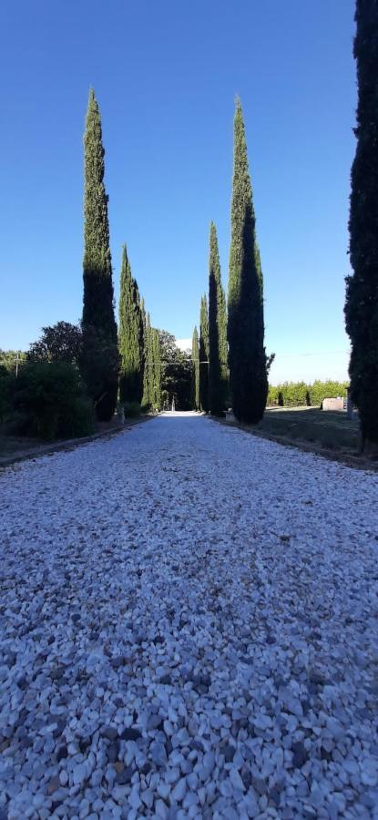 B&B Agriturismo Regno Di Toscana Collesalvetti Exterior photo